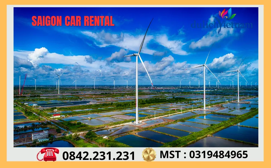 Thuê Xe Đi Bạc Liêu Uy Tín Tại TPHCM 68 Canh Dong Dien Gio Bac Lieu