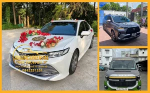 Thue Xe Sai Gon Di Binh Dai